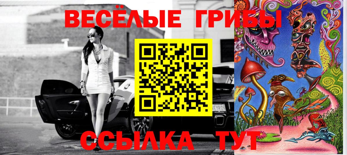 Галлюциногенные грибы Psilocybe  Жигулёвск 