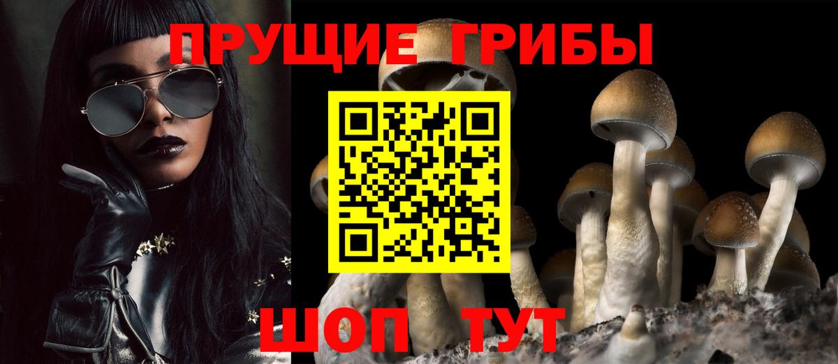 Галлюциногенные грибы ЛСД Жигулёвск