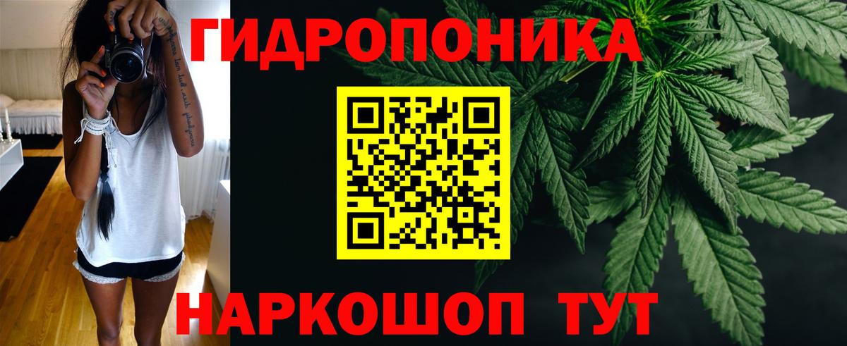 Конопля Ganja  Бошки марихуана конопля  Марихуана Ganja  Жигулёвск 